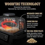 Ninja OG701 7-in-1 Woodfire Grill & Smoker
