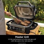 Ninja OG701 7-in-1 Woodfire Grill & Smoker