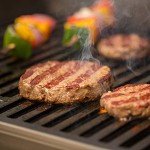 Weber Spirit E310 Gas Grill - Black