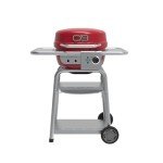 Bistro Pro™ Electric Grill & Griddle with Charcoal