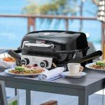 Royal Gourmet 2-Burner Portable Propane Gas Grill