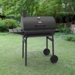 Char-Griller Pro Deluxe Charcoal Barrel Grill