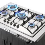 Feasto 5-Burner Gas Grill with Stainless Steel Top