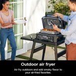 Ninja Woodfire Pro XL Grill & Smoker