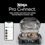 Ninja Woodfire Pro XL Grill & Smoker