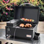 Onlyfire Portable Wood Pellet Grill Smoker, Black