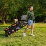 Blackstone Portable Tailgator Grill and Griddle Combo