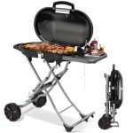 Havato Portable 15,000 BTU Gas BBQ Grill
