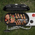 Havato Portable 15,000 BTU Gas BBQ Grill