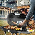 Havato Portable 15,000 BTU Gas BBQ Grill