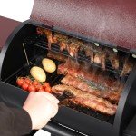Jocoevol Electric Wood Pellet Grill & Smoker