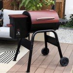 Jocoevol Electric Wood Pellet Grill & Smoker