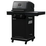 Char-Broil Pro Series 2-Burner Propane Gas Grill