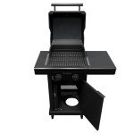Char-Broil Pro Series 2-Burner Propane Gas Grill