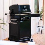 Char-Broil Pro Series 2-Burner Propane Gas Grill