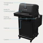 Char-Broil Pro Series 2-Burner Propane Gas Grill