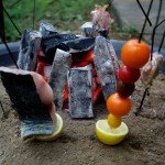 All-Natural Binchotan Charcoal for BBQ and Yakitori