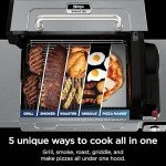 Ninja FlexFlame 5-in-1 Electric and Propane Grill