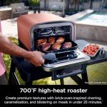 Ninja Woodfire 8-in-1 Portable Pizza Oven