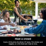 Ninja Woodfire 8-in-1 Portable Pizza Oven