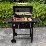 Char-Griller Traditional Charcoal BBQ Grill