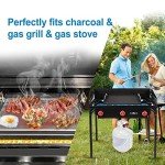 Cast Iron Griddle for Gas Grills, 17"x13