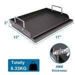 Cast Iron Griddle for Gas Grills, 17"x13