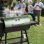 DAMNISS HWPG-550B Electric Pellet Smoker Grill