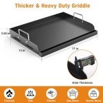 Barbqtime Nonstick Griddle for Gas Grills, 17"x13