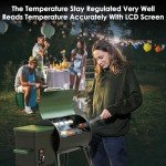 DAPG-03 Electric Wood Pellet Smoker Grill