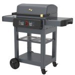 Current® G Dual Zone Smart Electric Grill