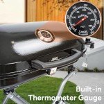 Portable 15,000 BTU Propane Gas Grill