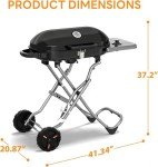 Portable 15,000 BTU Propane Gas Grill