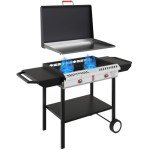 GasOne 2-Burner Propane Griddle with Wheels