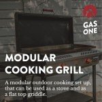 GasOne 2-Burner Propane Griddle with Wheels