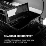 Masterbuilt 545 Digital Charcoal Grill and Smoker Combo