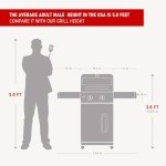 Monument 2-Burner Stainless Steel Gas Grill with Cover