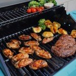 Monument 2-Burner Stainless Steel Gas Grill with Cover