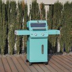 Monument 2-Burner Stainless Steel Gas Grill with Cover