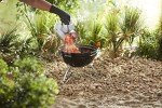 Weber Compact Chimney Starter for Charcoal Grills