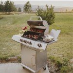 GasOne Deluxe 3-Burner Stainless Steel BBQ Grill
