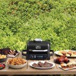 Ninja Woodfire Outdoor Grill and Smoker Black