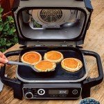 Ninja Woodfire Outdoor Grill and Smoker Black