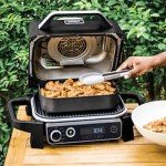 Ninja Woodfire Outdoor Grill and Smoker Black