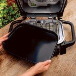 Ninja Woodfire Outdoor Grill and Smoker Black