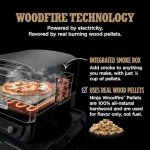 Ninja Woodfire 8-in-1 Outdoor Pizza Oven