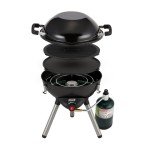 Coleman 4-in-1 Portable Propane Grill & Attachments