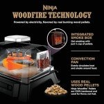 Ninja Woodfire 4-in-1 Outdoor Grill & Smoker