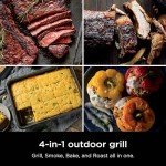 Ninja Woodfire 4-in-1 Outdoor Grill & Smoker