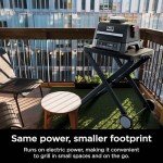 Ninja Woodfire 4-in-1 Outdoor Grill & Smoker